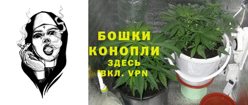 omg как войти  Жирновск  нарко площадка клад  Канабис OG Kush 